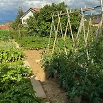 Apartma Gregoric Appartamento