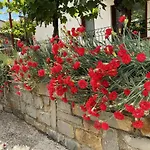 Appartamento Apartma Gregoric