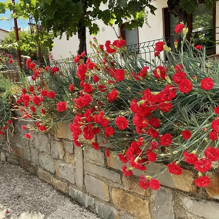 Apartament Gregoric