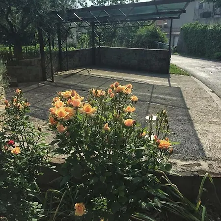 Apartament Gregoric *