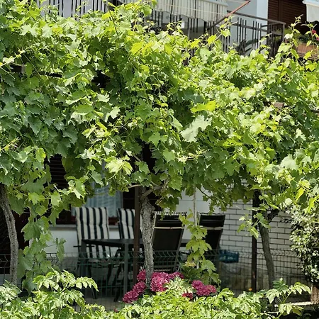 Gregoric Apartament *