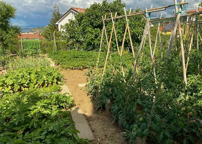 Gregoric アパート